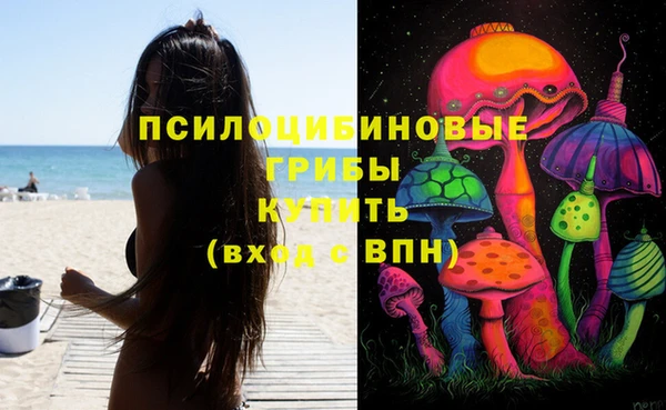 скорость Липки