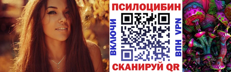 Псилоцибиновые грибы Psilocybe  кракен вход  Стерлитамак 
