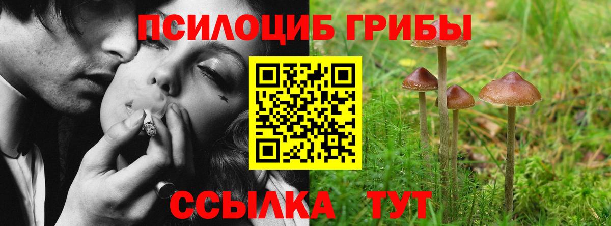 Галлюциногенные грибы мухоморы  Галлюциногенные грибы прущие грибы  купить наркотики цена  Стерлитамак  Вход с VPN 